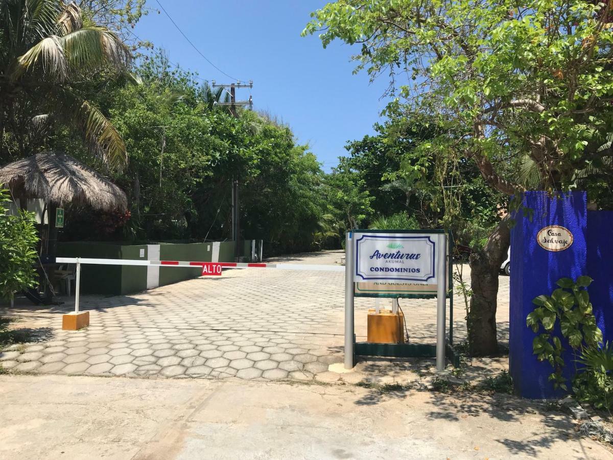 Beachfront Hammock Heaven Akumal Luaran gambar